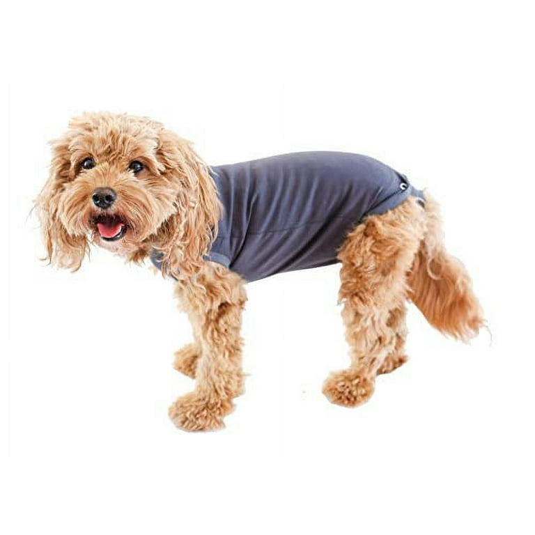 BellyGuard - After Surgery Dog Recovery Onesie, Post Spay, Neuter