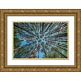 thumbnail image 1 of Bellyk, Daniel J. 24x17 Gold Ornate Wood Framed with Double Matting Museum Art Print Titled - Up, 1 of 4