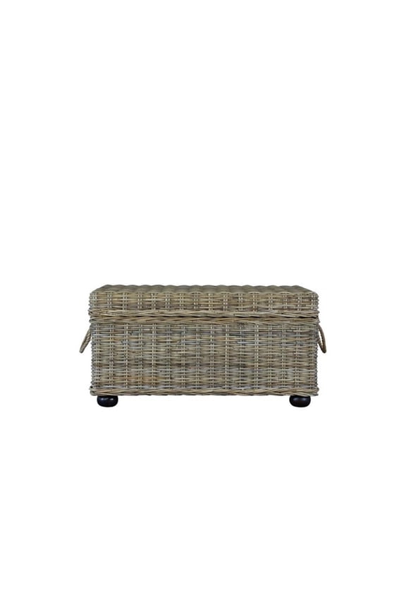 Cambria 42" Kubu Wicker / Rattan Storage Trunk in Tan
