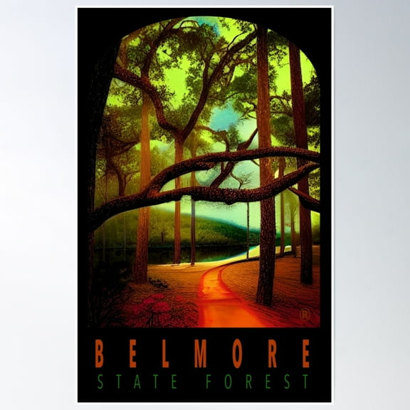 Belmore State Forest Florida Poster Wall Art, Modern Wall Decor, 8x12 UNFRAMED
