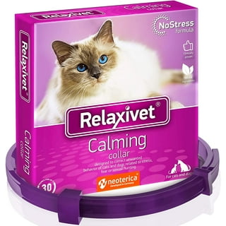 Calming cat cheap collar review