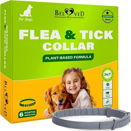 Natural Flea & Tick Collar for Dogs - 6 Months of Prevention & Safe Treatment, Anti-Flea and Tick Essential Oil Repellent (Pack of 1)