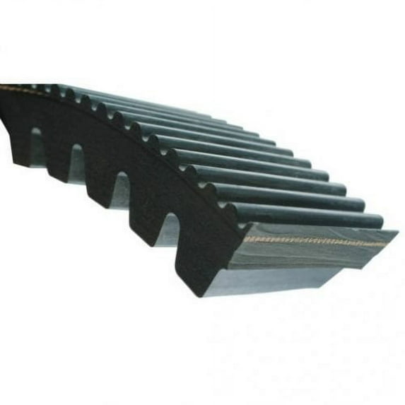 Belt - Cylinder Drive fits Gleaner R62 R65 R66 R75 R76 R72 71448442 71363246 71376238 71399514