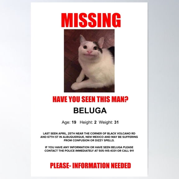 Beluga Missing Poster Poster Wall Art, Modern Wall Decor For Living Room Bedroom, 8x12 UNFRAMED