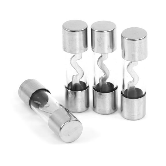 Belva BAGU100 4 Pack of 100A Nickel-Plated AGU Fuse Four Fuses Per Order 100 Amp AGU Fuses