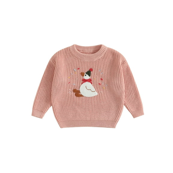 BemeyourBBs Baby Birthday Sweaters Long Sleeve Silly Goose Embroidery Pullovers