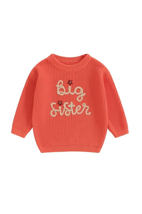 Big Sister Little Sister Matching Outfits Toddler Baby Girl Chunky Sweater Warm Sweatshirt Knit Fall Winter Clothes