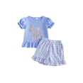 thumbnail image 1 of BemeyourBBs Kids Toddler Baby Girls Birthday Outfit 1 2 3 4 Years Old Birthday Summer Clothes Puff Short Sleeve Letters Embroidery T-shirt with Ruffle Plaid Shorts Set, 1 of 9