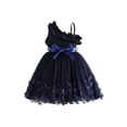 thumbnail image 1 of BemeyourBBs Kids Toddler Girls Fairy Butterfly Tulle Tutu Dress Big Girl Summer Ruffled Dress Cute Sleeveless Ruffle Princess Birthday Party Wedding Guest Dress with Belt, 1 of 9