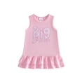 thumbnail image 1 of BemeyourBBs Toddler Baby Girl Big Sister Dress Outfit Infant Baby Girl Pink Summer Tank Dress Big Sister Letter Embroidery Sleeveless Ruffled A Line Dress, 1 of 9