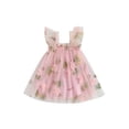 thumbnail image 1 of BemeyourBBs Toddler Baby Girls Fairy Baptism Dress Sleeveless Ruffle Sleeve 3d Floral Embroidery Summer Dress Cute Tulle Tutu Dress Birthday Wedding Party Princess Dress, 1 of 9
