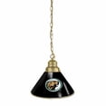 thumbnail image 1 of Bemidji State University Pendant Light with Brass Fixture, 1 of 7