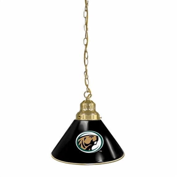 Bemidji State University Pendant Light with Brass Fixture