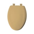thumbnail image 1 of Bemis 1200SLOWT Lift-Off Plastic Elongated Slow-Close Toilet Seat, Available in Various Colors, 1 of 7
