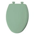 thumbnail image 1 of Bemis 200SLOWT Lift-Off Plastic Round Slow-Close Toilet Seat, Available in Various Colors, 1 of 5