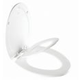 thumbnail image 1 of Bemis B1485E4000 Nextstep2 Toilet Seat with Built-In Potty Training Seat, 1 of 7