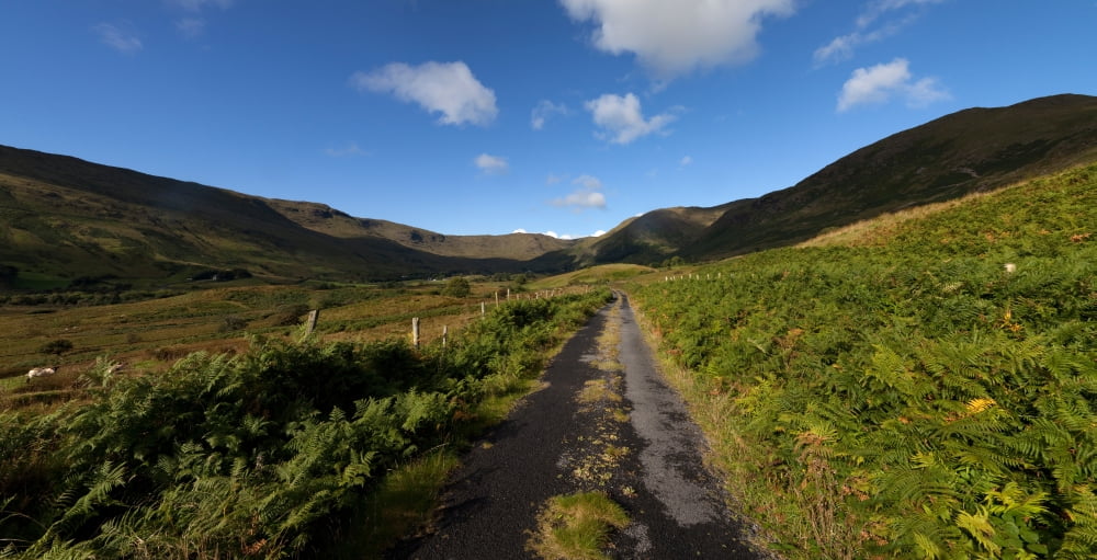 Ben Beg and road along the side of Lough Mask to Lecarrow Joyces County Connemara County Galway Ireland Canvas Art - Panoramic Images (27 x 9)