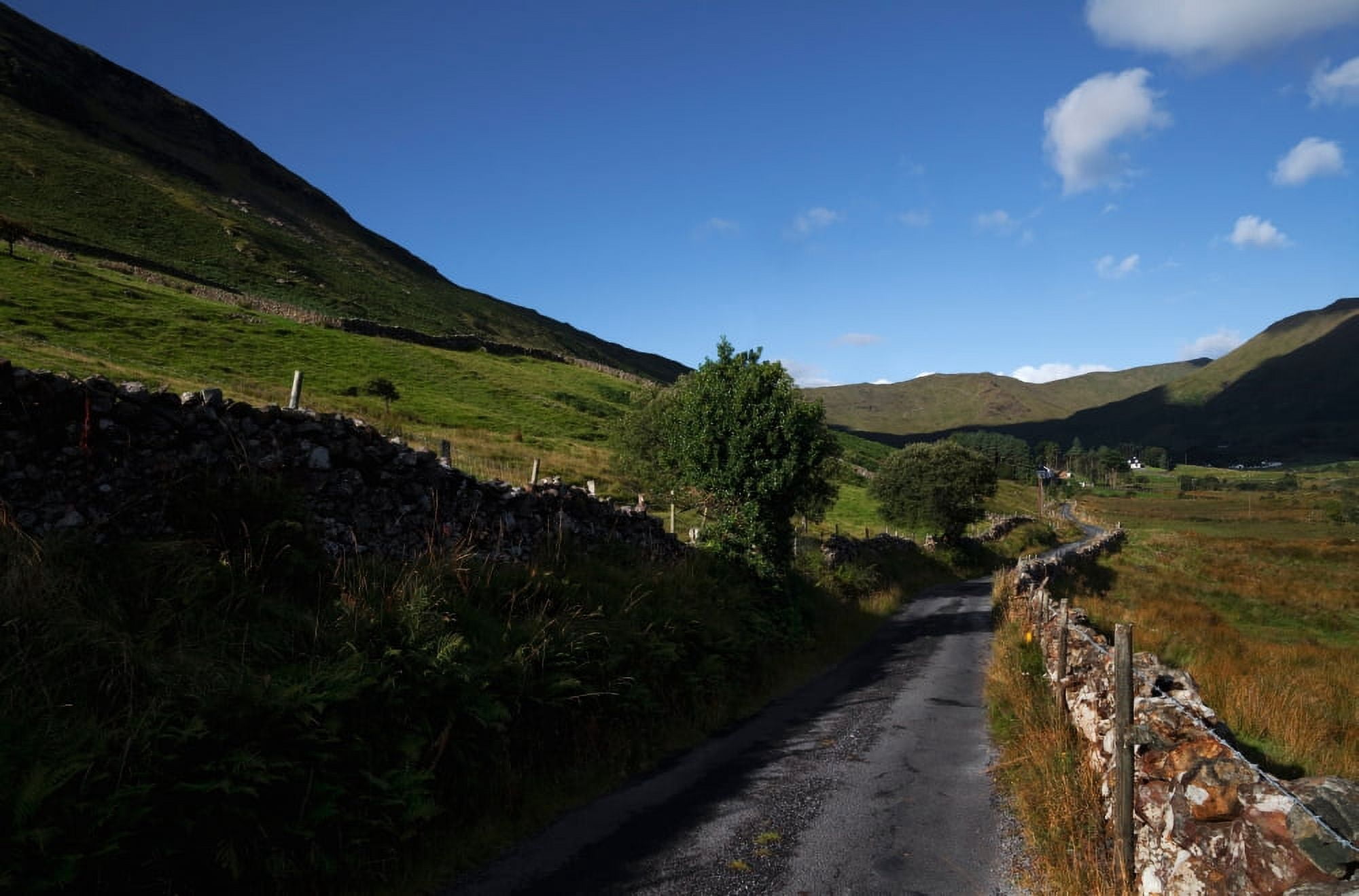 Ben Beg and road along the side of Lough Mask to Lecarrow Joyces County Connemara County Galway Ireland Canvas Art - Panoramic Images (36 x 12)