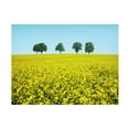 thumbnail image 1 of Ben Heine 'Brothers' Canvas Art, 1 of 3