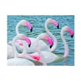 thumbnail image 1 of Ben Heine 'Flamboyant Of Flamingos 3' Canvas Art, 1 of 3