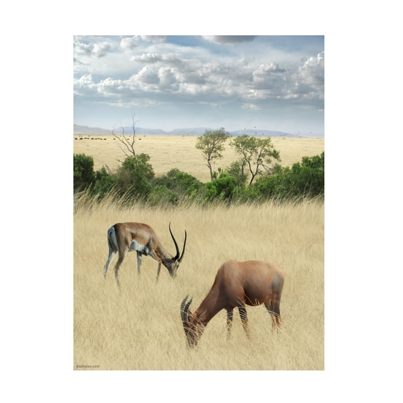 Ben Heine 'Kenya 2' Canvas Art