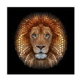 thumbnail image 1 of Ben Heine 'Lion Face Made Of Circles' Canvas Art, 1 of 3