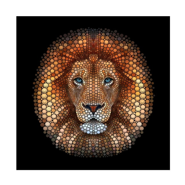 Ben Heine 'Lion Face Made Of Circles' Canvas Art