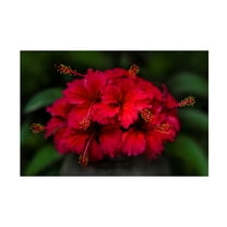 Ben Heine 'Thailand 165' Canvas Art