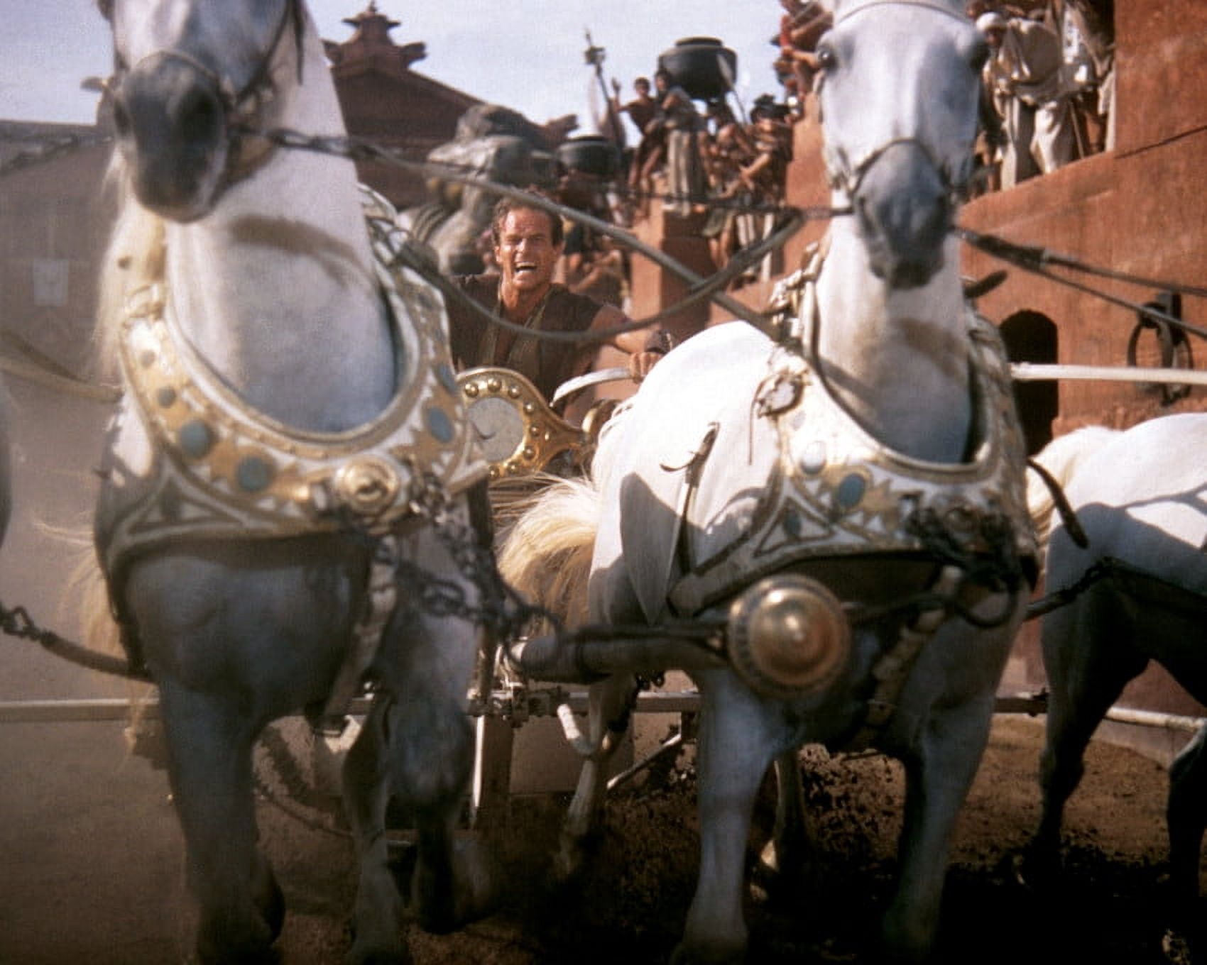 Ben Hur Classic Chariot Race Charlton Heston And Horses 24X36 Classic ...