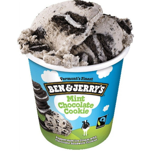 Mint Chocolate Chip Ice Cream in Ice Cream & Novelties - Walmart.com
