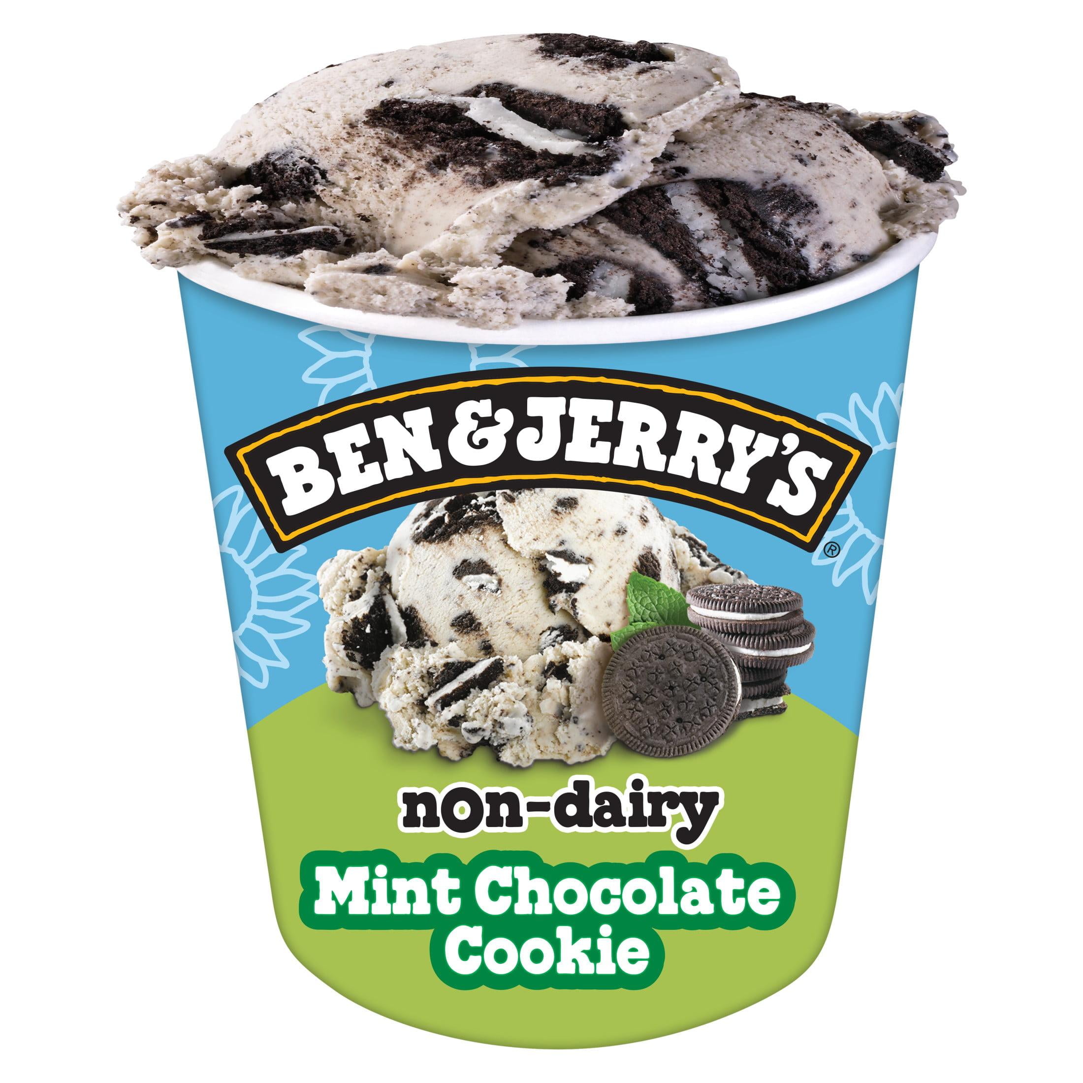 Ben & Jerry's NonDairy Mint Chocolate Cookie Ice Cream, 16 oz