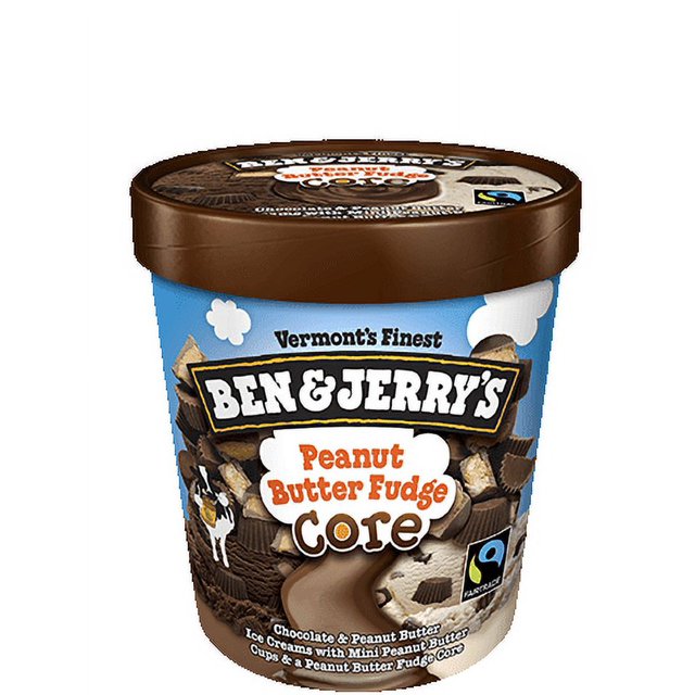 Ben & Jerry's, Peanut Butter Fudge Core Ice Cream, Pint (6 Count)