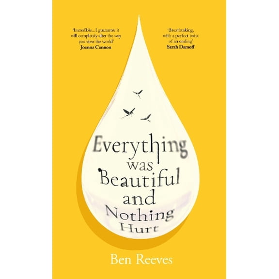 Ben Reeves Everything was Beautiful and Nothing Hurt (Hardcover)