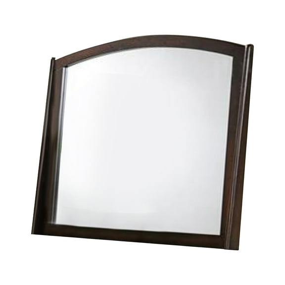 Contemporary Appeal Mirror, Varnish Oak