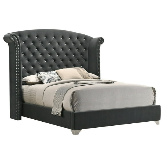 Benjara Giya Wingback Queen Bed, Tufted Headboard, Nailed Gray Velvet Upholstery
