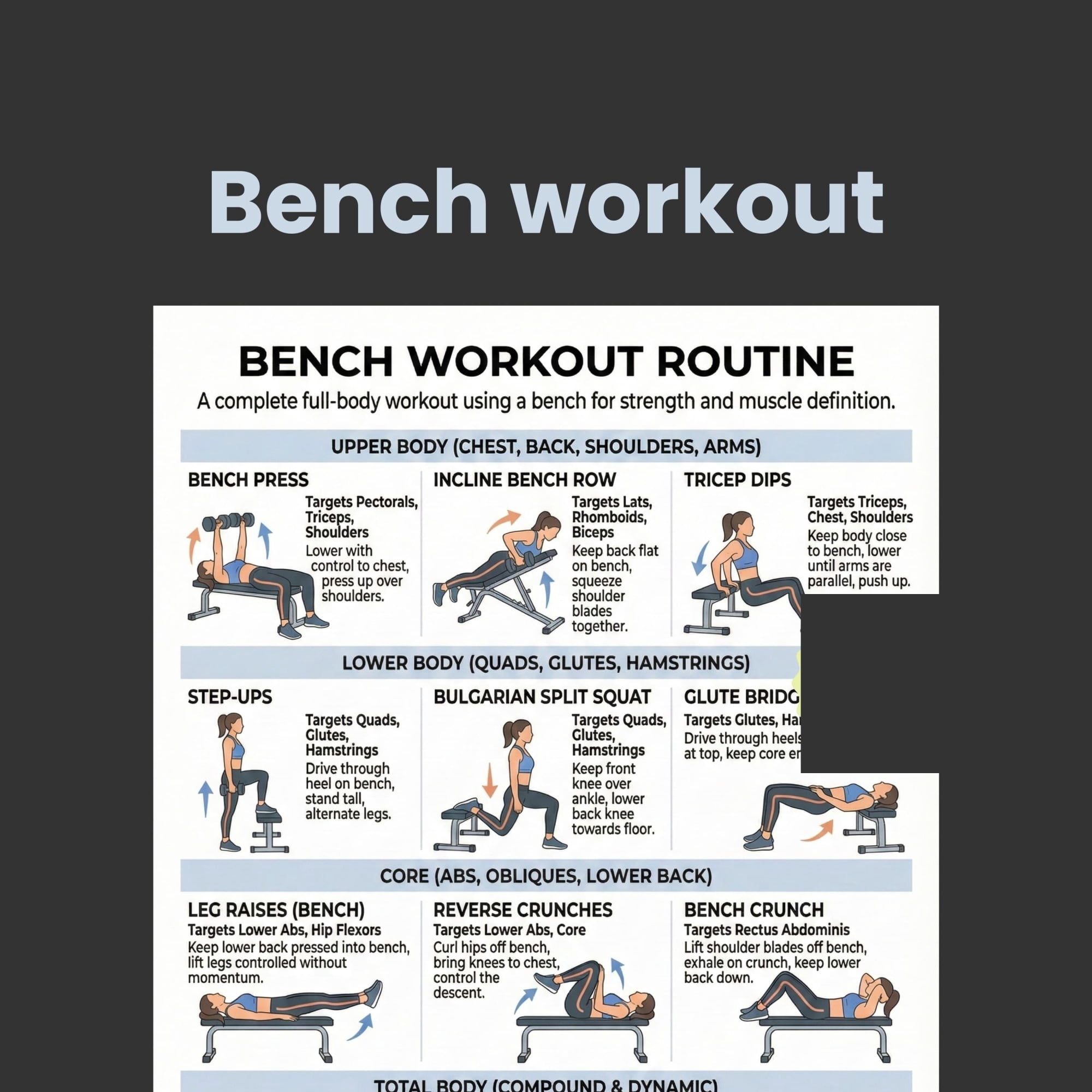 Bench Exercise Poster, Full Body Exercise Poster, 30 Day Exercise ...
