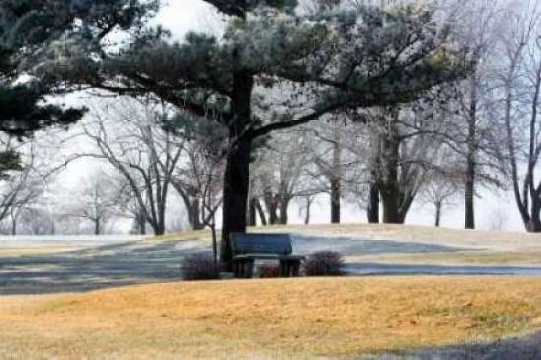 Bench II Canvas Art - Tammy Putman (20 x 28)