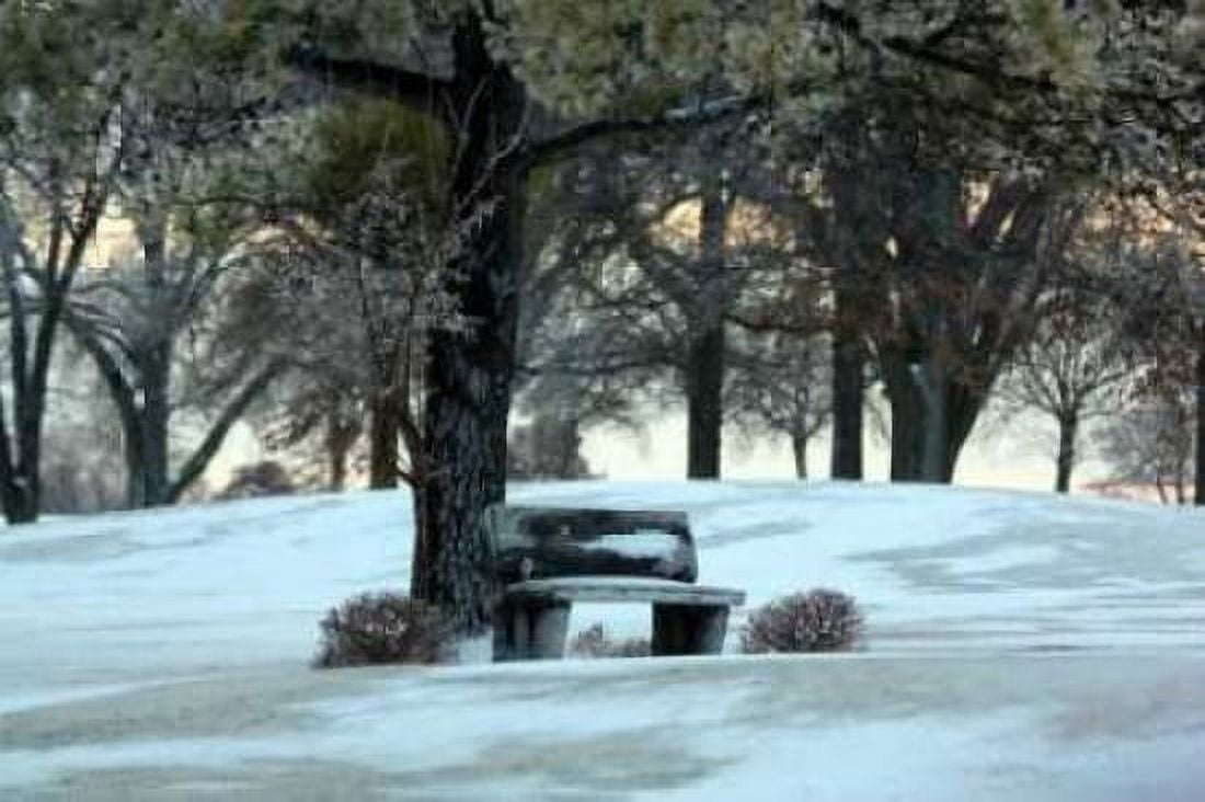 Bench III Canvas Art - Tammy Putman (20 x 28)