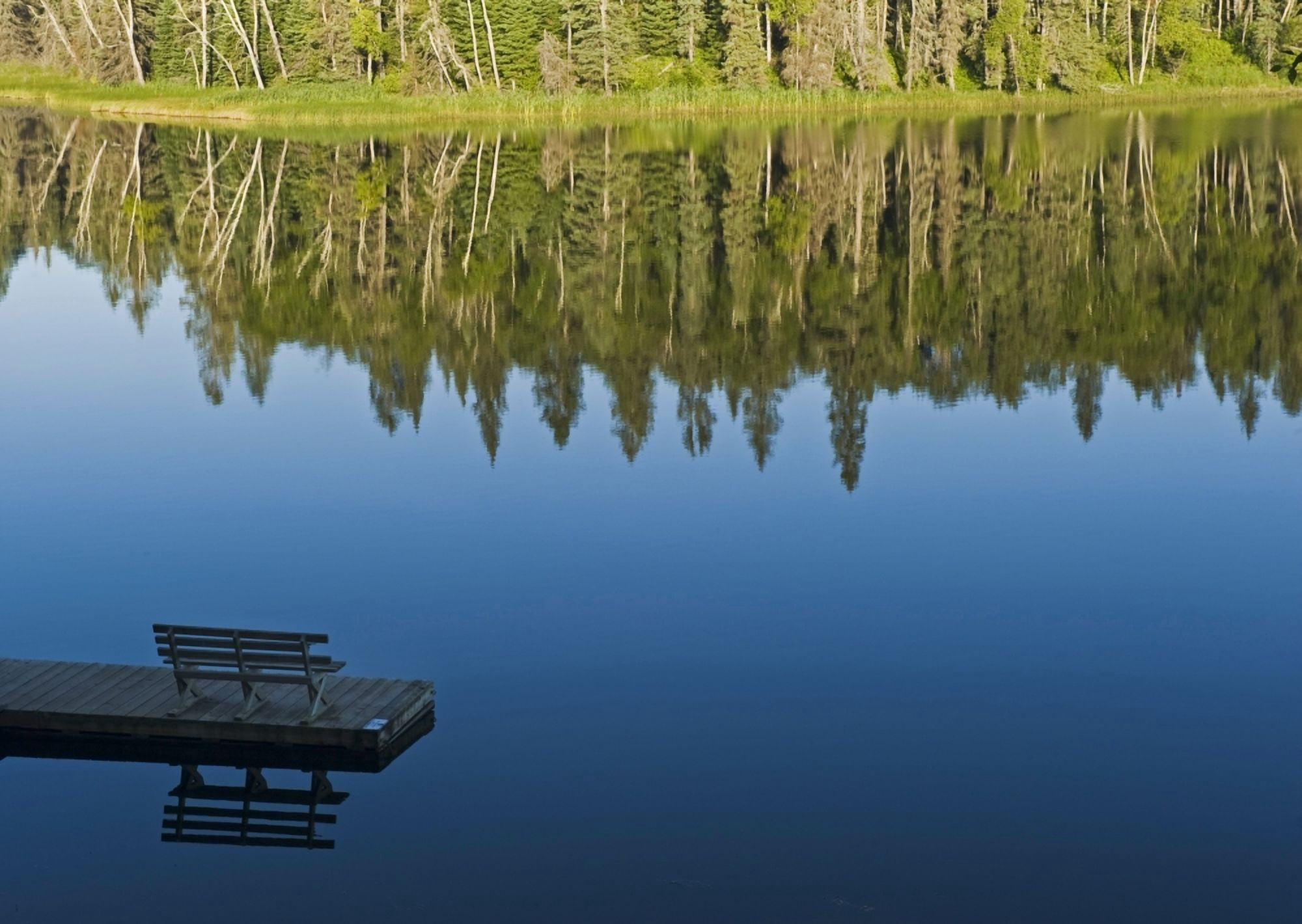 Bench On A Dock And Trees Reflected In Water Two Mile Lake Duck Mountain Provincial Park Manitoba Canvas Art - Dave Reede Design Pics (17 x 12)