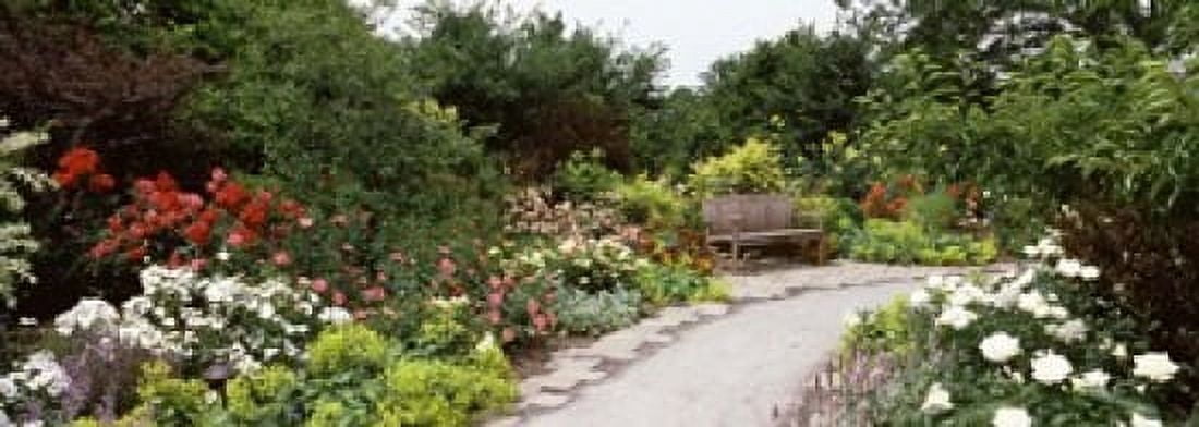Bench in a garden Olbrich Botanical Gardens Madison Wisconsin USA Canvas Art - Panoramic Images (18 x 7)