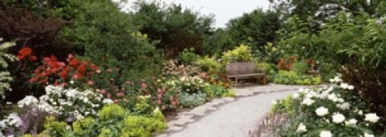 Bench in a garden Olbrich Botanical Gardens Madison Wisconsin USA Canvas Art - Panoramic Images (36 x 13)