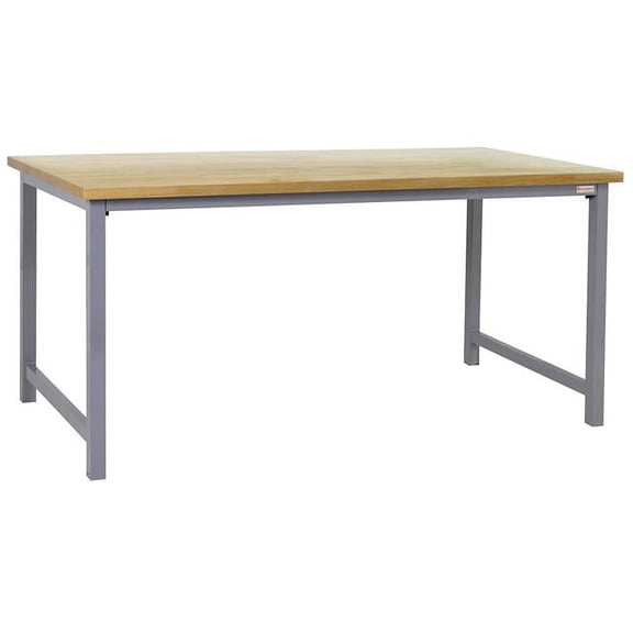 BenchPro PV2448-GrayFr-30H 24 x 48 in. Polk Heavy Duty Economy Workbenches with 1 in. Polk Thick Oiled Solid Maple Top, Gray