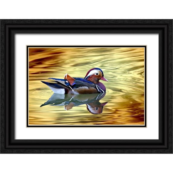 Bencic, Bojan 18x13 Black Ornate Wood Framed with Double Matting Museum Art Print Titled - Golden