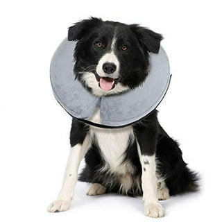 Petco donut collar 2025