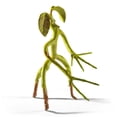 thumbnail image 1 of Bendable Bowtruckle, 1 of 5