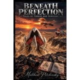 Perfection Commercial Beneath Perfection: Tales of Terror and Survival, (Paperback) - Walmart.com