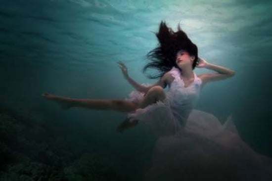 Beneath The Sea Canvas Art - Martha Suherman (12 x 18)