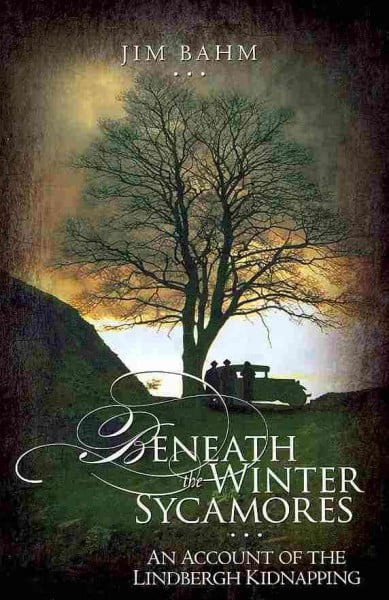Beneath the Winter Sycamores