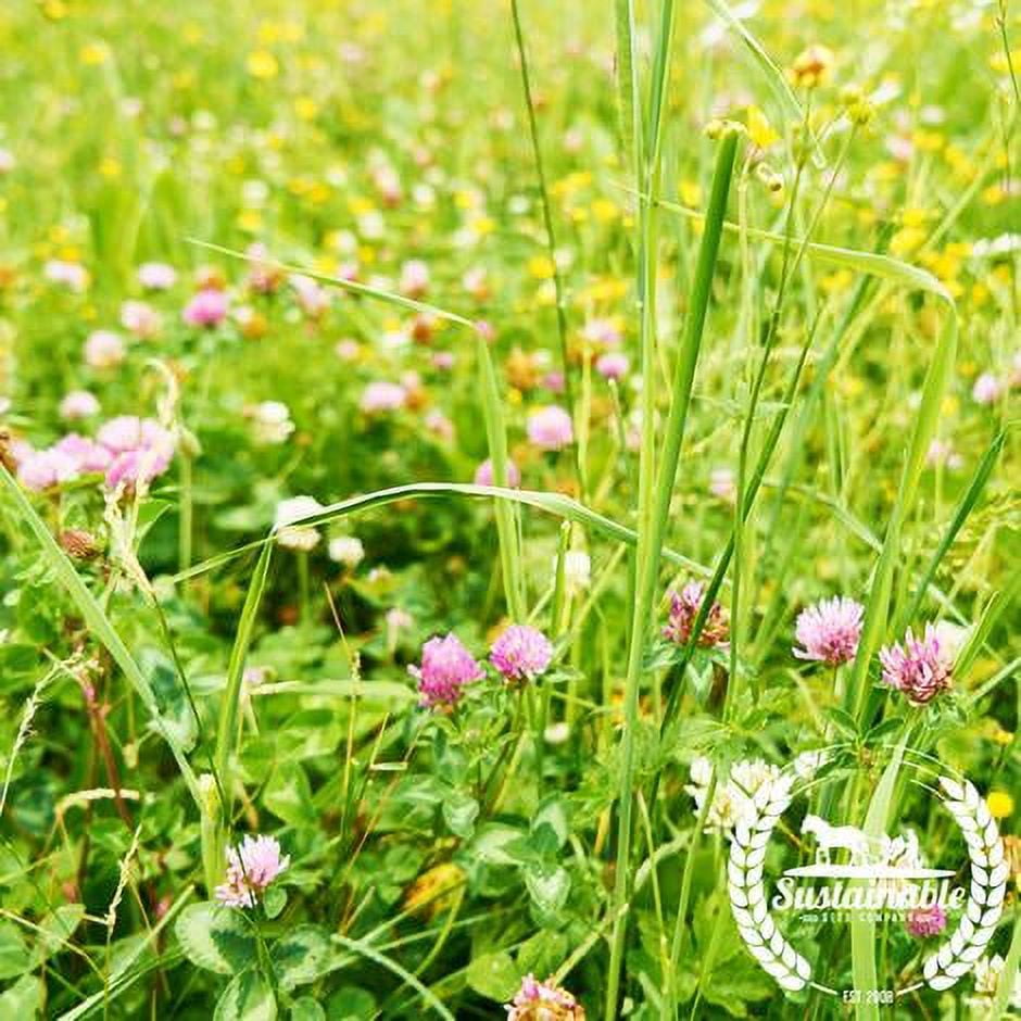 Beneficial Insect Mix 7 g Atrract Beneficial Bugs That Eat Aphids