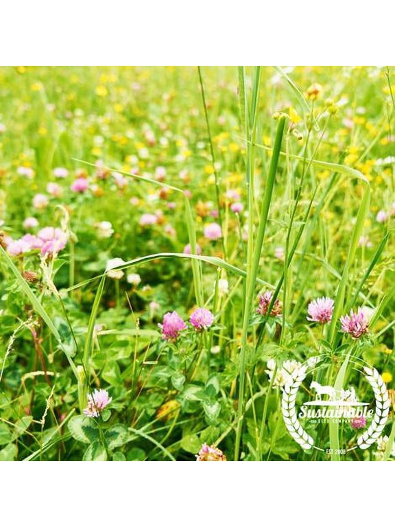 Beneficial Insect Mix 7 g - Atrract Beneficial Bugs That Eat Aphids: Lacewings, Ladybugs - Mix of Clovers, Flowers & Grasses